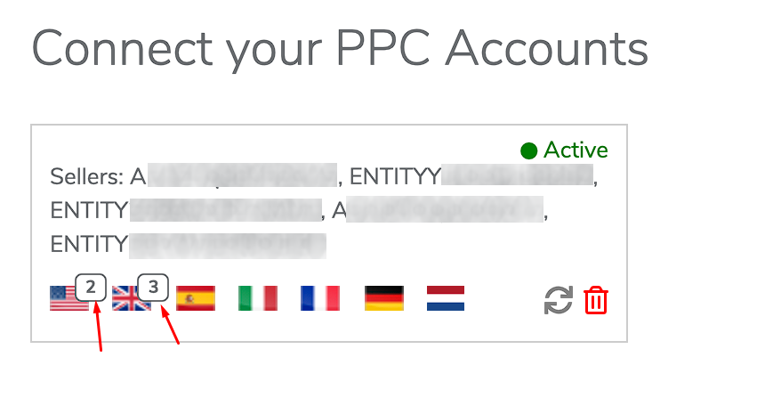 ppc_account_details_copy.png