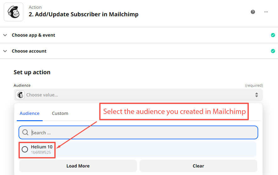 Select the audience you created in Mailchimp.